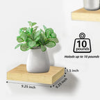 Floating Shelf for Wall