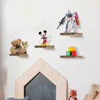 Floating Shelf for Wall