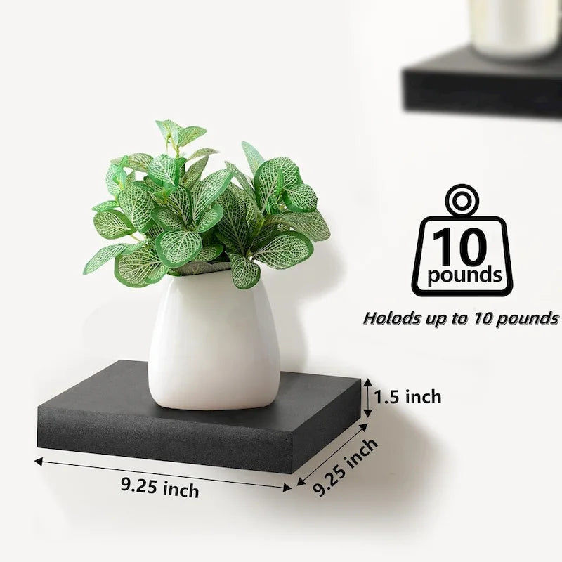 Floating Shelf for Wall