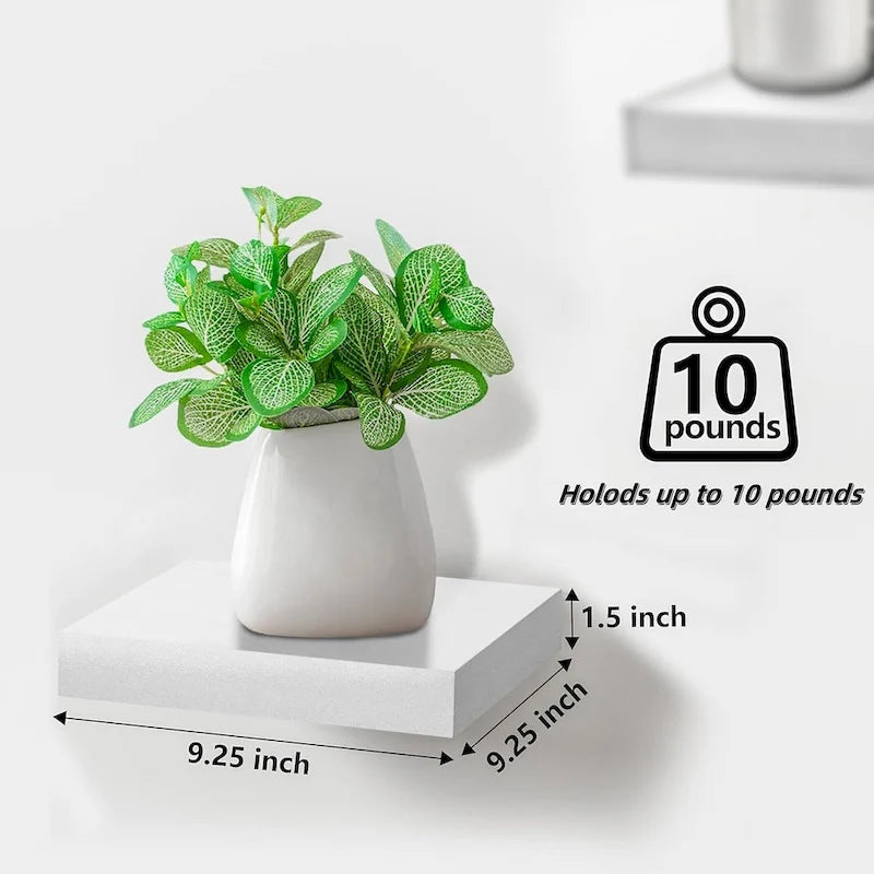 Floating Shelf for Wall
