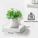 Floating Shelf for Wall