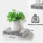 Floating Shelf for Wall